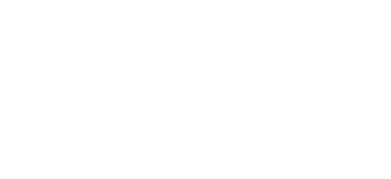 Performance Bullet